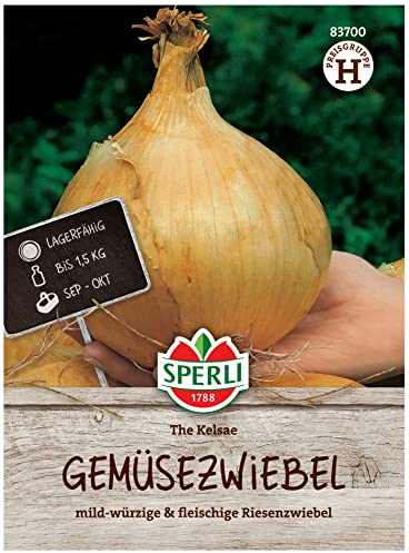 Sperli Gemüsezwiebelsamen The Kelsae 83700 - lagerfähig - bis 1,5kg - mild-würzig - fleischige Riesenzwiebel - Saatgut, Samen Gemüse, Gemüse Pflanzen