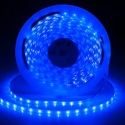 iNextStation Striscia LED blu 10 m 24 V Striscia LED tagliabile SMD 2835