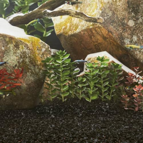 Générique Sable pour Aquarium 25 kg Noir 0,2-2 mm,Articles pour Animaux,Articles pour Animaux de Compagnie,Accessoires pour Poissons,Gravier et substrats pour Aquariums,Noir,26.15 KG,3217157