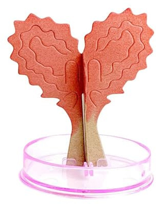 Lambo Albero di Crescita Magico Albero di Carta a Forma di Cuore Albero di Carta a Forma di Cuore Fai da Te, Alberi di a Crescita per Regali di San