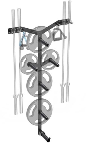 Lifeswell Wandmontiertes Hantelscheibenregal, robuster olympischer Langhantelhalter & T-Barreihe Landminenbefestigung, 6 Hakenlöcher, 5 Heringe und 4 Langhantelaufbewahrung, platzsparender Organizer