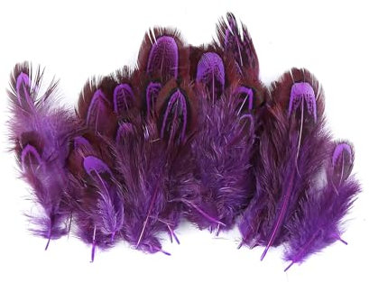 Asudaro 50 Stück Basteln Federn DIY Bastelfedern 4.5-10CM Natürliche Gänsefedern Assorted Craft Feder Dekorationen für DIY Traumfänger Handwerk Assorted Federn Handwerk Feder Dunkelviolett
