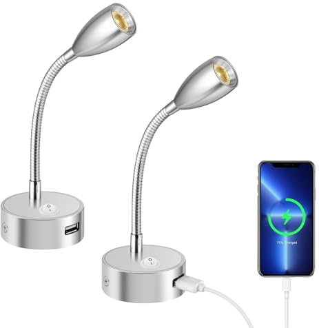 ERWEY 2er LED Leselampe 12V Wohnmobil, 3W 3000K Wandleuchte Bettlampe mit Flexible Schwanenhals und USB-Ladeanschluss DC12-24V Spot für Boot, Yacht, Auto, Van Wohnwagen Innenbeleuchtung, Silber