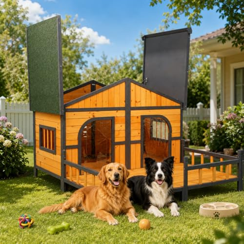 Hundhus utomhus, stort hundhus utomhus för 2 stora hundar, trä stor dubbel XL kennel med upphöjt golv och veranda, väderbeständig utomhus valpskydd med öppningsbart tak, 163 cm x 135 cm x 100 cm
