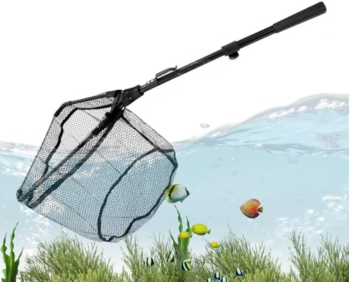 Kasmole Épuisette de Pêche,avec Manche Télescopique et Épuisette Pliante - Piège Portable pour Saumon Homard Poisson-Chat Crevette Crabe Truite Perche | de Réception