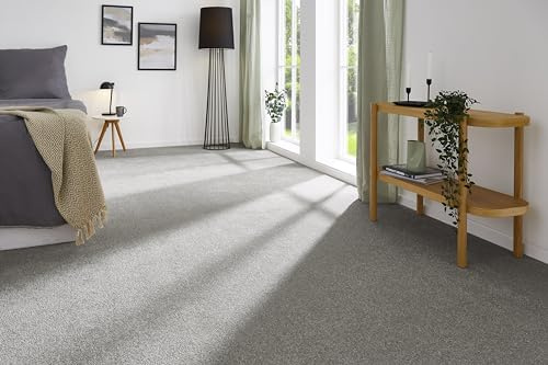 andiamo Teppichboden Izmir für Wohnzimmer und Kinderzimmer - Teppichboden Meterware zum Verlegen - Teppichbelag mit hoher Trittschalldämmung - weicher Teppichboden 400 x 600 cm Grau