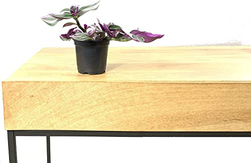 Tradescantia Nanouk Natural Planta con Hojas Colgantes