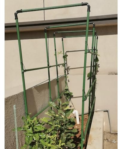 Estacas para enrejado de jardín Espaldera de Arco para Exterior para plantas trepadoras de pepino y uva, 3.9 4.9 5.9 6.9 7.9 pies de altura Enrejado de Pasarela Estacas, Enrejado grande Jardín de Hort