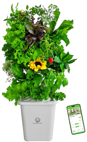LnzyGarden Hydroponic Growing System Kit - Indoor Smart Hydroponic Vertical Garden,Hydroponic Vegetable System,30 Pods,with Pump System and Automatic Timer, Gardening Gift
