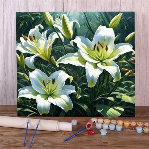 Malen Nach Zahlen Erwachsene,DIY Wunderschöne Lilien Paint by Numbers Kit mit Pinseln und Acrylfarben Handgemalt Ölgemälde Leinwand für Home Decor Mit Rahmen - 30x30cm