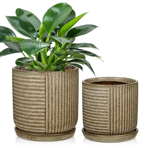 Oairse 2er-Set Bonsai Keramiktopf Bonsaischale mit Entwässerungslöchern für Japanische Bonsai Zimmerpflanzen, Retro-Dekoration für Gartenbehälter-Sets im Freien, Durchmesser Öffnung 22cm