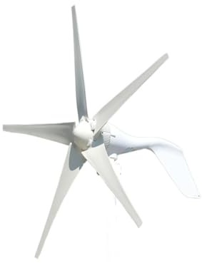 QZCX Aerogenerador Eolico, Turbina eólica trifásica de Arranque de 1,3 m CA 12v 24v 48v con regulador automático de 12V 24V Uso doméstico turbina eólica de 400w(5 Blades,24V)