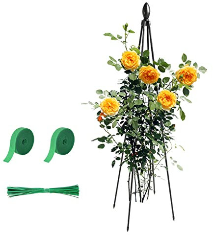 Cadre d'escalade pour , grille de jardin avec cadre en rotin – Outil élégant et pour grimper les roses, le lierre, les clématites et les tomates