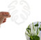 YUXIANLB Monstera Plant Support Indoor Plants Support Stakes 2Pcs Plant Stem Support Leaf Clip For Plants Plastic Clear Monstera Shape Stake For Outdoor Or Indoor Keeps Plant Tame And Growing Vertical