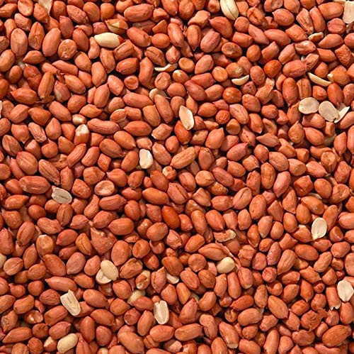 Trusty® Pet Supplies Wild Bird Peanuts 5kg