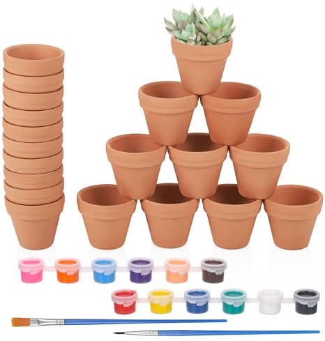 Hejo 20 pcs Mini Terra Cotta Plant Pots, 3×3.5cm Mini Clay Pots for DIY Painting Kit with 2 Brushes and 12 Colors, Cute Clay Planters for Succulents, Herbs & Indoor and Outdoor Decoration