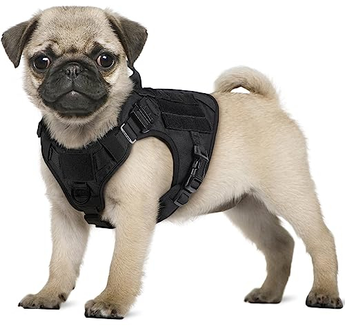 rabbitgoo No Pull Hundegeschirr Mittlere Grosse Hunde, Taktische Brustgeschirr mit MOLLE Griff Metallschnallen, Atmungsaktiv Militär Sicherheitsgeschirr, Verstellbares Gepolstert Hundeweste, S Schwarz