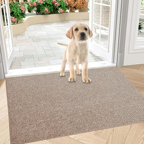 Smutsfångande matta inomhus 60 x 90 cm, halkfri dörrmatta utomhus och inomhus, tvättbar ren dörrmatta dörrmatta, vattentät entrématta, absorberande golvmatta för entré, ytterdörr (brun, 80 x 100 cm)