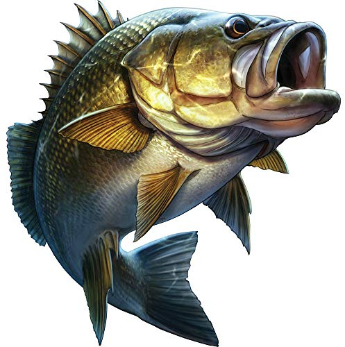 Angeln Cartoon Großes Maul Bass Fisch Styling Auto Aufkleber Boot Kajak LKW Laptop Außen Zubehör Vinyl Aufkleber, 20 cm * 20 cm