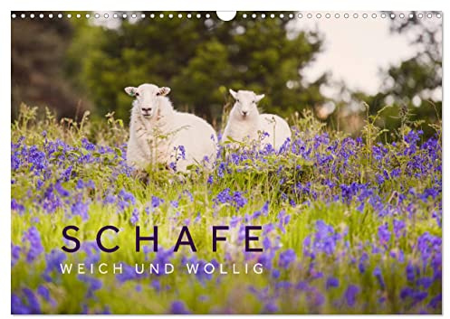 CALVENDO - Schafe - Weich und wollig (Wandkalender 2027 DIN A3 quer), Monatskalender: Schafe unterwegs in schönen Landschaften aus Wales, Norwegen und Irland.