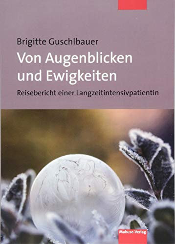 Von Augenblicken und Ewigkeiten. Reisebericht einer Langzeitintensivpatientin. Erfahrungen aus dem Koma, für Pflegepersonal und Betroffene