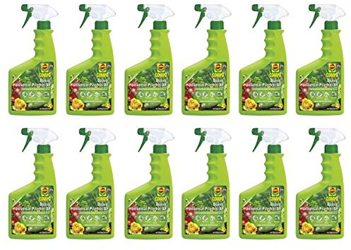 COMPO Duaxo Universal Pilz-frei AF 9 l - Flasche - gegen Rost, Blattfleckenpilze an Rosen & Zierpflanzen