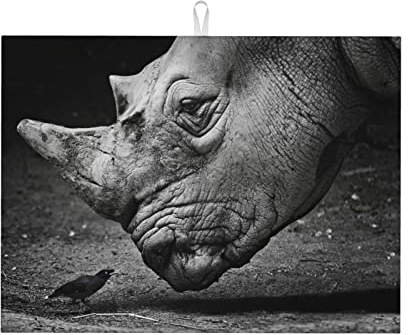Abtropfmatte für Küchentheke – Nashorn, Tier, Mikrofaser, saugfähiges Abtropfpad – wendbare Abtropfmatten für Arbeitsplatte – groß 45,7 x 61 cm