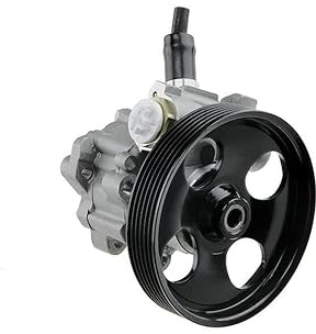 Advantage Auto Parts Compatible with Scudo Power Steering Pump 2007-2016