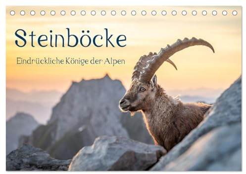 Steinböcke - Eindrückliche Könige der Alpen (Tischkalender 2026 DIN A5 quer), CALVENDO Monatskalender: Stolze Steinböcke in den Schweizer Alpen (CALVENDO Tiere)