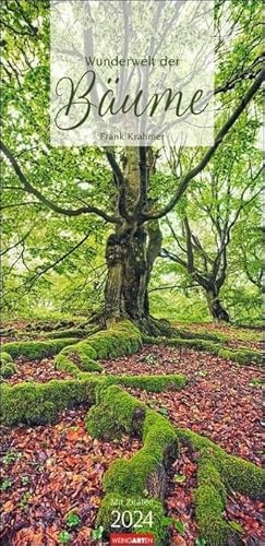 Wunderwelt der Bäume Kalender 2024. Baum-Fotos durch alle Jahreszeiten in einem länglichen Kalender im Format 33 x 68 cm. Jahres-Wandkalender 2024 mit Fotos von der Blüte bis zum kahlen Winter.