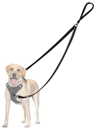 PetBonus No Pull Anti-Zieh Hundeleine, Keine Verwicklung Doppelleine für Anti-Zug Geschirr, Reflektierend Hundeleine zum Trainieren und Gassi gehen für große mittlere Hunde (Schwarz)
