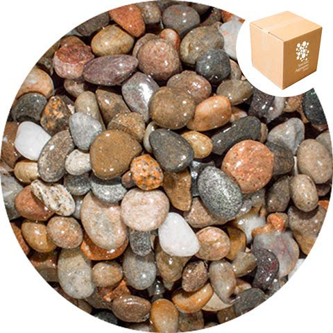 Specialist Aggregates ® - Caledonian Pebbles 14-20mm - 15kg | Premier Grade | Hand Selected | Fully Rounded | Decorative | Ponds | Features | Garden Design