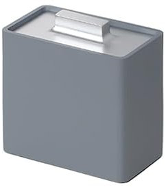 SFANIIX Dispensador de Palillos de Dientes Caja De Almacenamiento De Bastoncillos De Algodón For Palillos De Dientes Caja Contenedora para Palillos de Dientes(2)