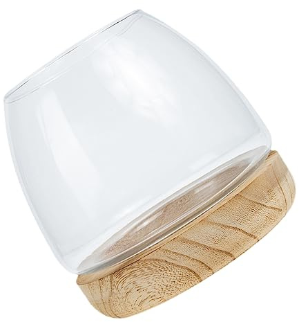 TOYANDONA Vase Hydroponique avec Base pour Plantes Aquatiques Récipient Décoratif pour Bureau Salon et Jardin Grand Format