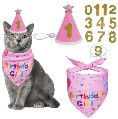 Geburtstagsmütze Schal-Set für kleine Hunde und Katzen, Bandana Katzen-Geburtstagshut mit Zahlen Katzen-Geburtstagslätzchen niedliches Haustier Geburtstags Partyzubehör (Rosa)