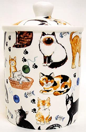Cats Collage Canister Fine Bone Cats Collage Pet Food Treats Storage Jar Hand Decorated in The U.K.