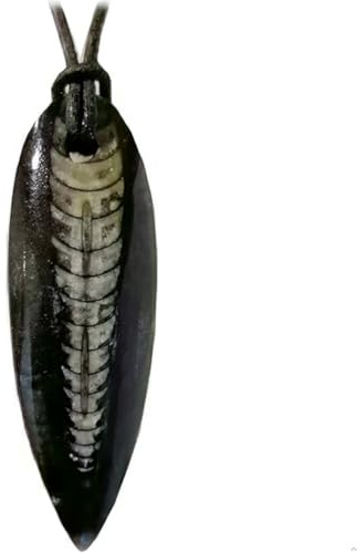 Kaltner Präsente Orthoceras Fossil Anhänger mit Lederkette – Echter Orthoceratit aus Marokko (ca. 320 Mio. Jahre) – Edelstein Halskette Unikat – Versteinerung ca. 50 mm – Geschenk Damen & Herren