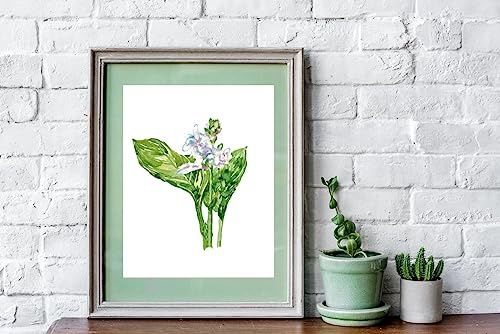 Hosta Flower Painting Plantain Lily Green Abstract Watercolor Print Kitchen Wall Poster Living Room Art Women Botanical Poster Hosta Flower Painting Plantain Lily Green,118