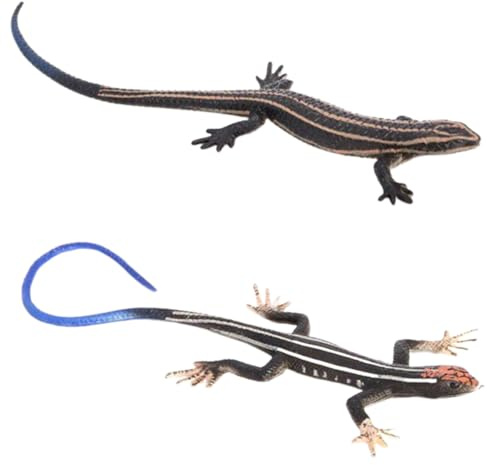 OUDQFCJ 2 unidades de lagarto de juguete de goma, modelo educativo de animal salvaje, regalo para niños, colección de juguetes, accesorios de ciencia y aprendizaje, bromas divertidas