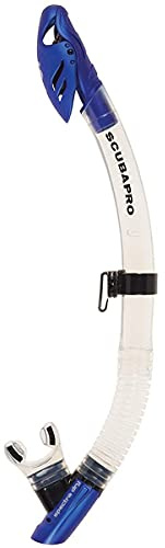 Spectra Dry Schnorchel, BLK/Türkisch