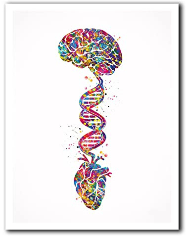 Tanyang Cervello Cuore Dna Acquerello Stampa Scienza Arte Murale Arte Medica Anatomia Clinica Decoro Cuore E Cervello Ufficio Decorazione Parete 30X40Cm Senza Telaio