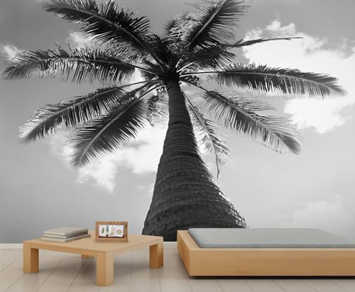 Papier peint palmier noir et blanc - Peinture murale rétro tropicale - Paysage côtier - Pour chambre à coucher, salle de bain - Impression HD - 450 x 305 cm