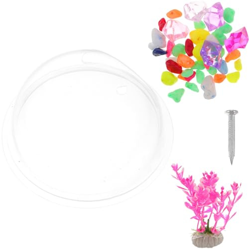 JUMPLAWN Wall Mounted Acrylic Fish Tank for Home Decor Space-saving Aquarium Supplies Suitable for Fish and Aquatic Plants Stylish Wall Hanging Random Color