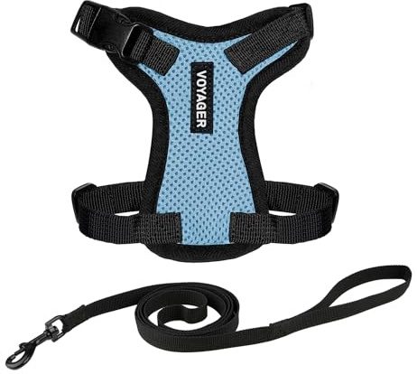 Voyager Step-in Lock - Arnés Ajustable para Gatos Conjunto de Correa para Gatos con Mango de Neopreno de 1,5 m. Compatible con Gatos de Razas pequeñas, Medianas y Grandes de Best Pet Supplies - Azul