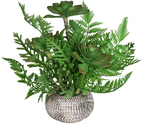 VEA SRL Planta Grasa y Helecho 14 x 31 cm LAO57492