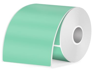 FINDAT Grün Thermoetiketten 50 x 80 mm für M110/M220/T50M 100 Stück | Für DIY, Name, Adresse, Büro, Schule. Vinyl, Wasserdicht, beschreibbar, Aufkleber, selbstklebend