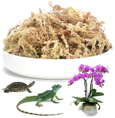 INNAL 190g Musgo Sphagnum Musgo Natural Sphagnum Musgo para Orquideas Musgo de Sphagnum Sphagnum Moss para Phalaenopsis Orquídea Plantas Carnívoras Reptiles