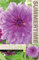 AGRONOM | Dalias - LAVENDER RUFFLES | Bulbos de flores perennes | Flores Violeta | Se cultivan en jardines de flores, macetas, se plantan en céspedes en flor | Paquete de 1 bulbos de flores