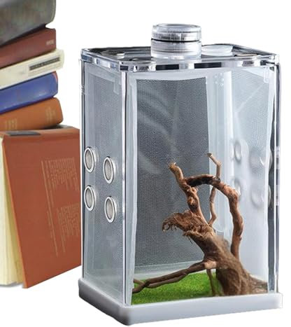 Sprungspinnengehäuse, Spinnen -Fütterungsbox, Tarantula Faunarium Acryl -Reptilien -Terrarien Luftlöchern, Fütterungsspinnenkäfig, Gehäusezubehör, Reptilien und Amphibienversorgung