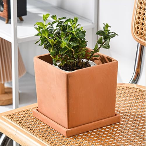 Pflanzgefäß-Set aus Terrakotta mit Ablaufloch und Tablett, 4 Stück, rote Töpfe für Sukkulenten, für den Innen- und Außenbereich, perfekt für Zuhause, Büro und Garten (Pflanzen nicht im Lieferumfang